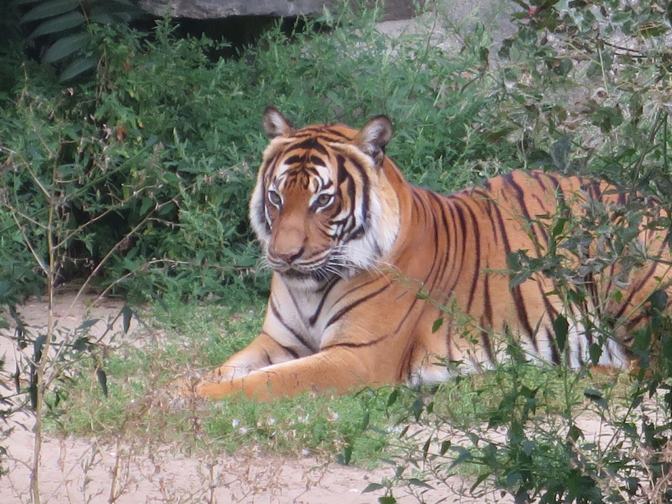 Tierpark Zoo  22